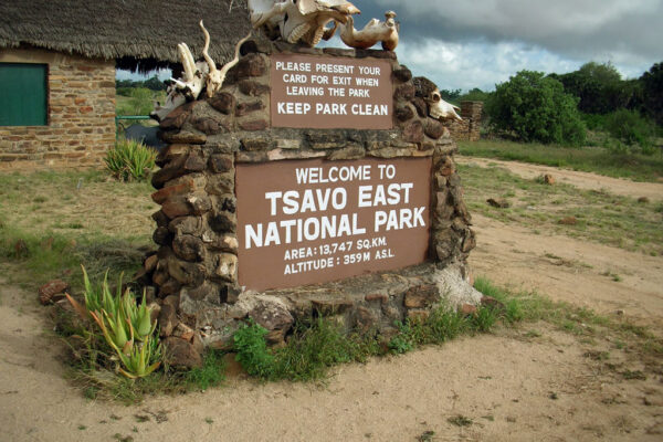 Safari 2 giorni – Tsavo Est