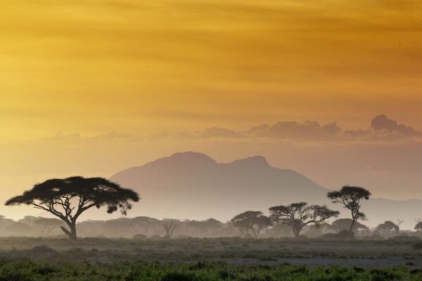 Safari 2 giorni – Masai Mara