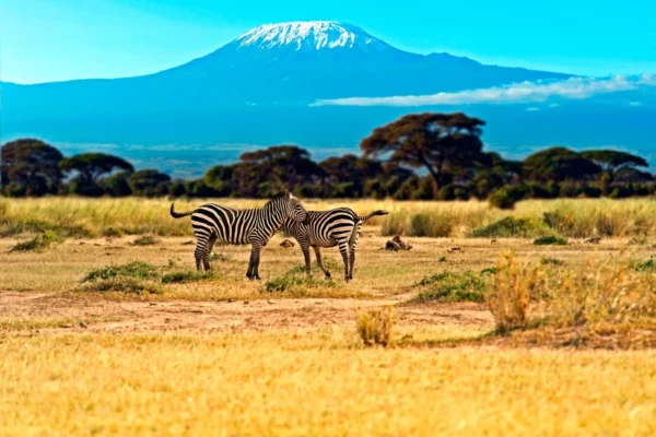 Safari Tsavo Est & Tsavo Ovest – 3 giorni